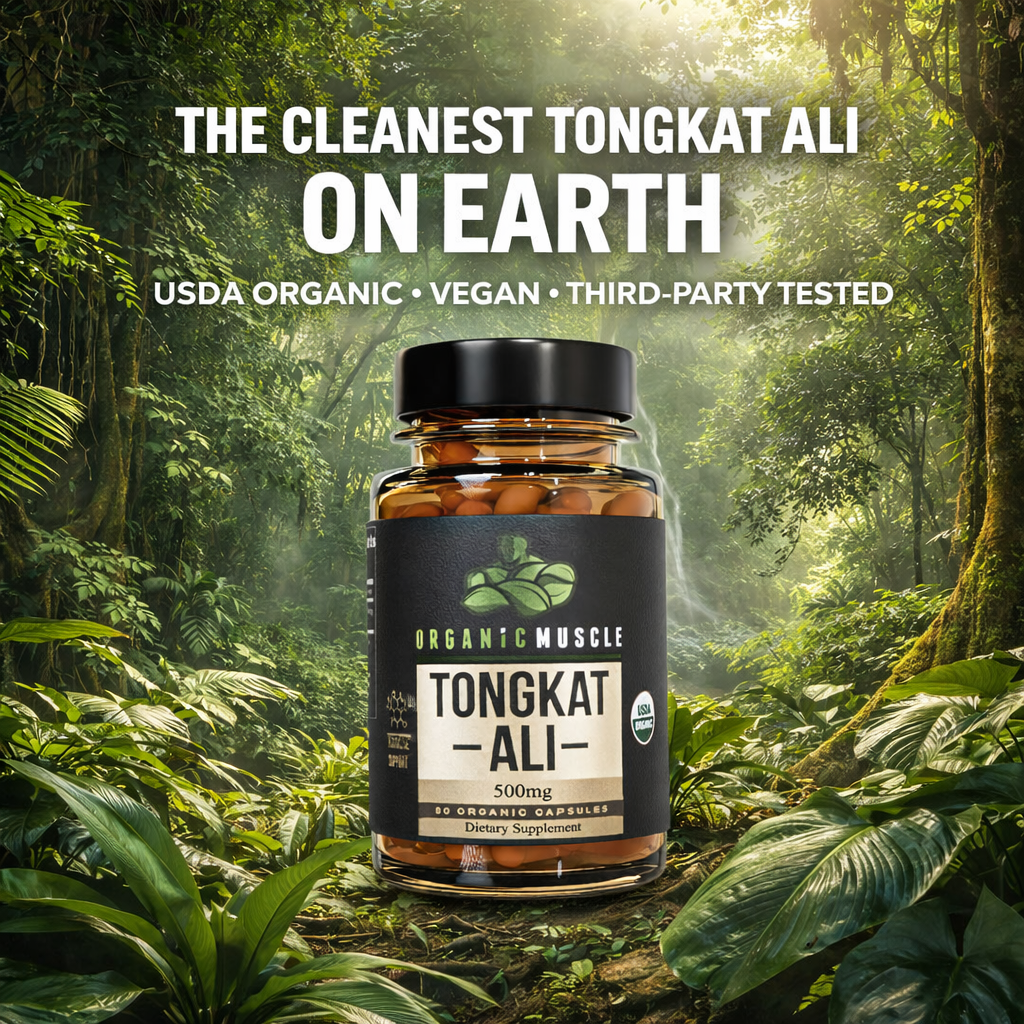 Tongkat Ali-3
