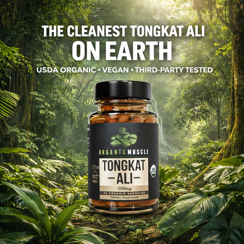 Tongkat Ali-3