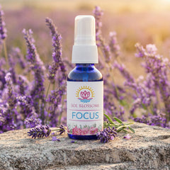 Focus Flower Essence Spray-1